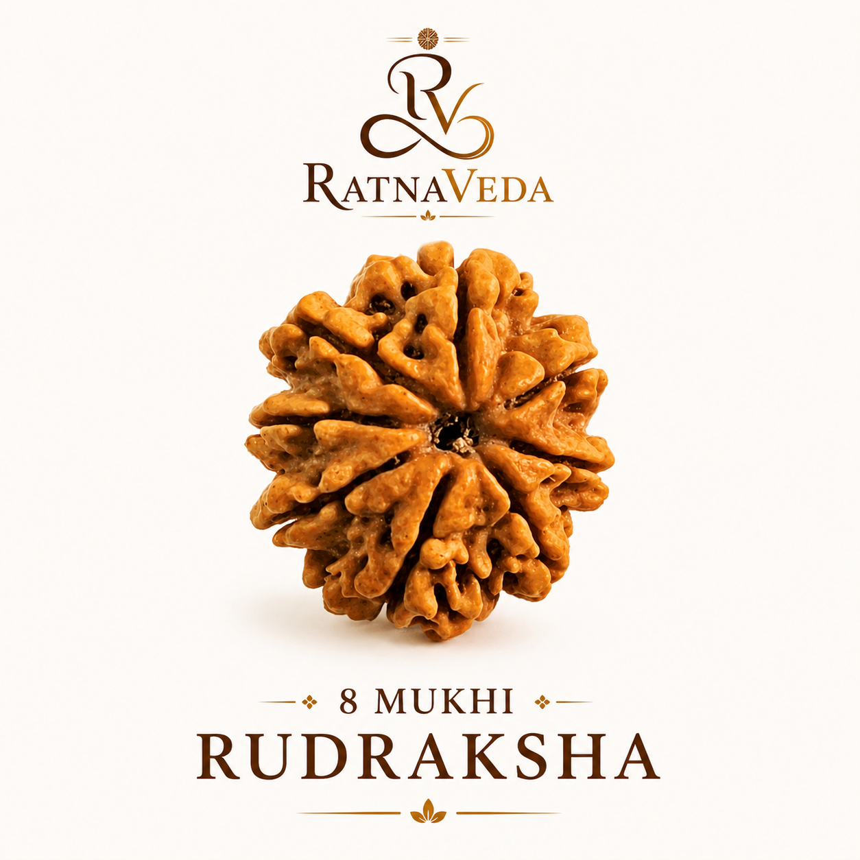 Rudraksh