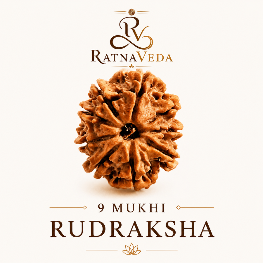 9 Mukhi Rudraksha